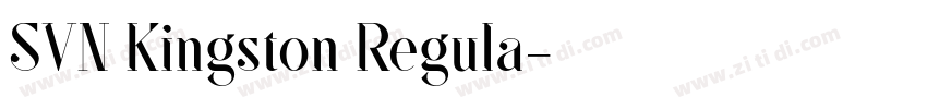 SVN Kingston Regula字体转换